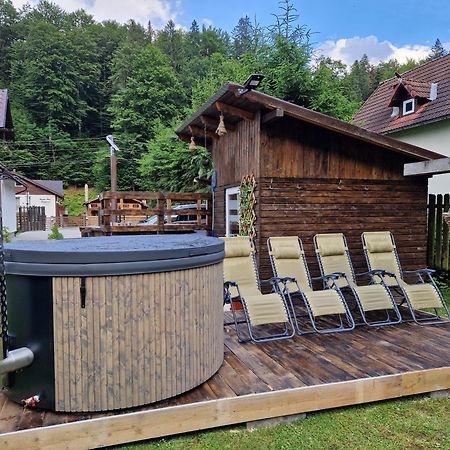 ホテル Casa Popa'S Cîrţişoara エクステリア 写真