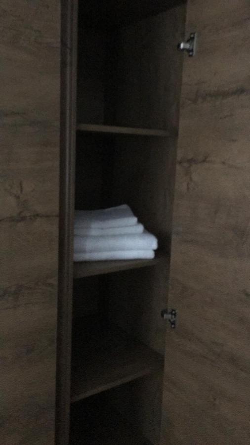 ホテル Casa Popa'S Cîrţişoara エクステリア 写真