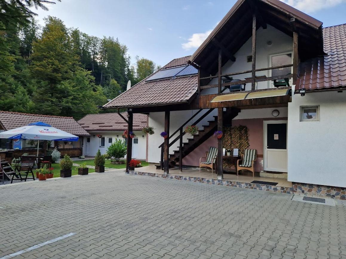 ホテル Casa Popa'S Cîrţişoara エクステリア 写真
