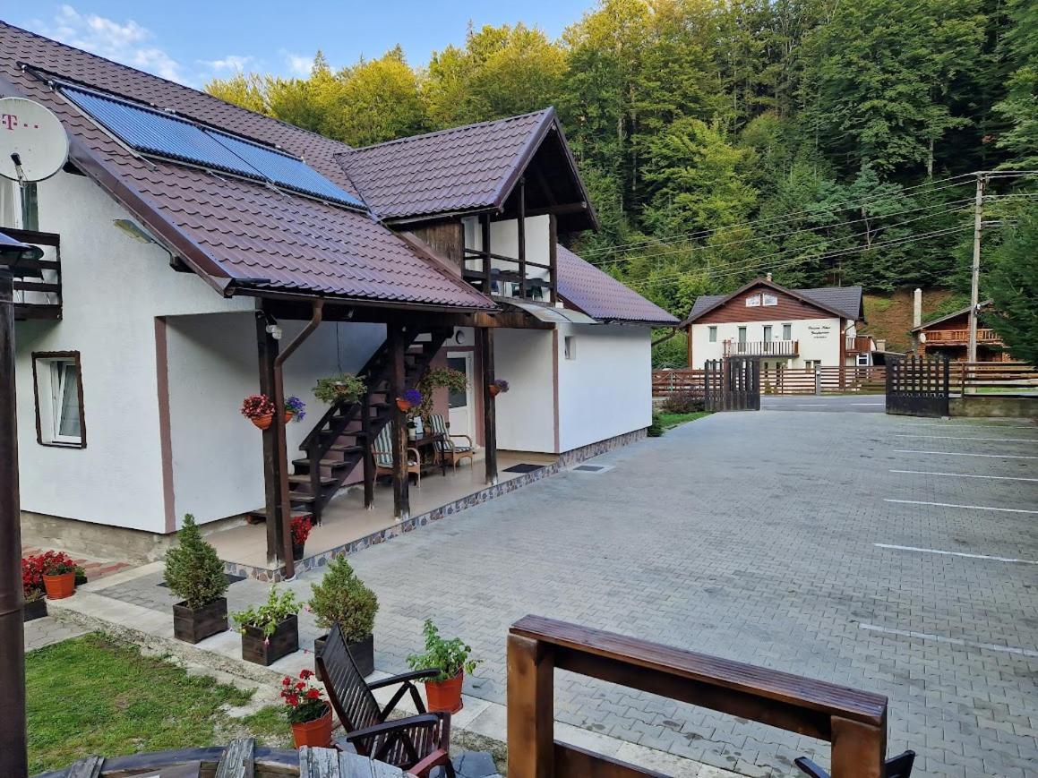 ホテル Casa Popa'S Cîrţişoara エクステリア 写真