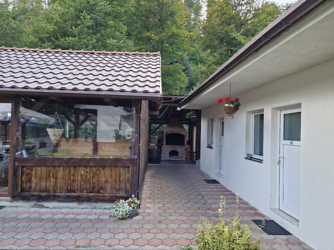 ホテル Casa Popa'S Cîrţişoara エクステリア 写真
