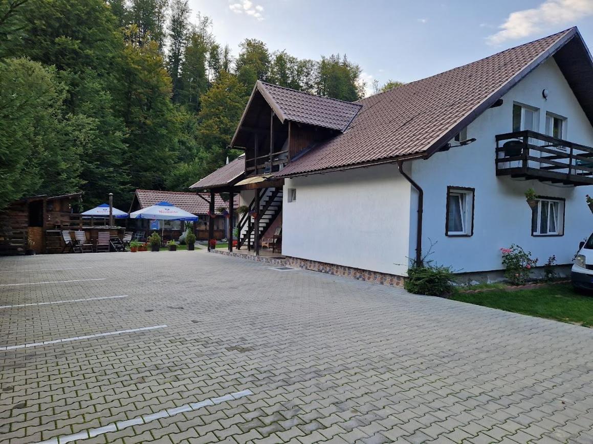 ホテル Casa Popa'S Cîrţişoara エクステリア 写真