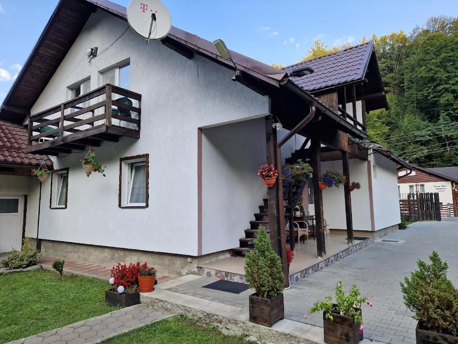 ホテル Casa Popa'S Cîrţişoara エクステリア 写真