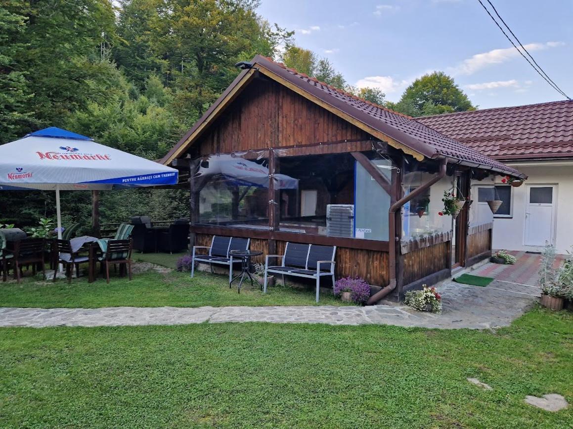 ホテル Casa Popa'S Cîrţişoara エクステリア 写真