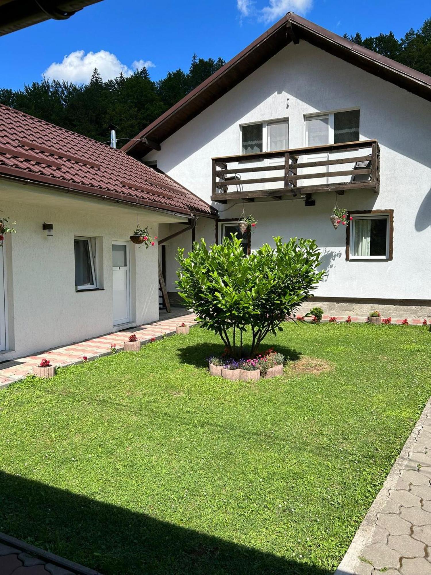 ホテル Casa Popa'S Cîrţişoara エクステリア 写真