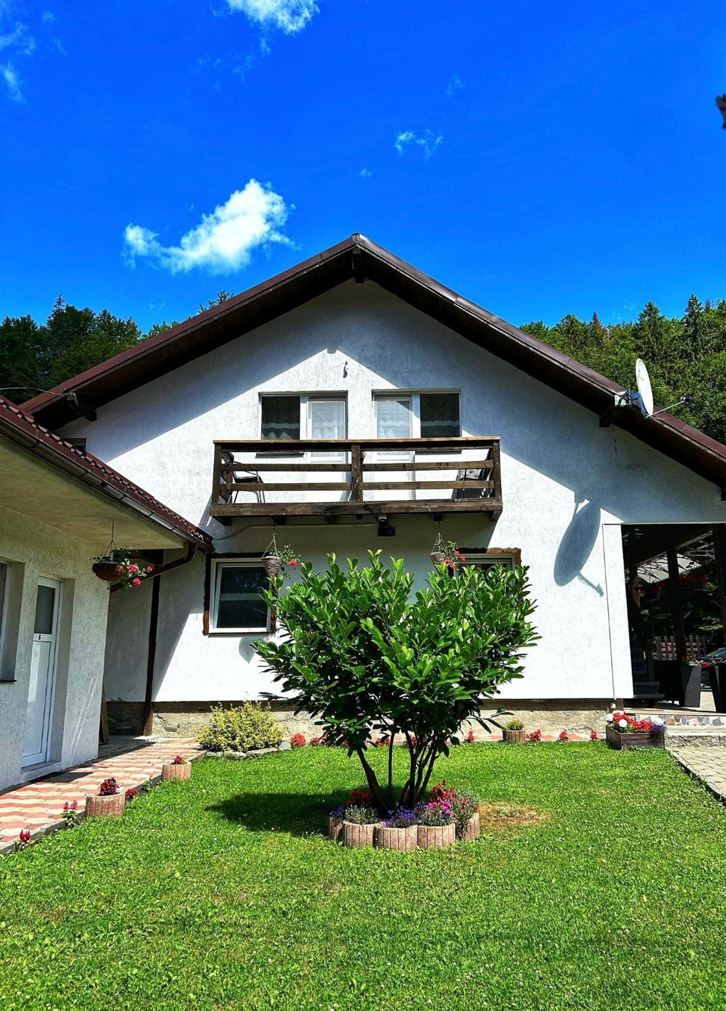 ホテル Casa Popa'S Cîrţişoara エクステリア 写真