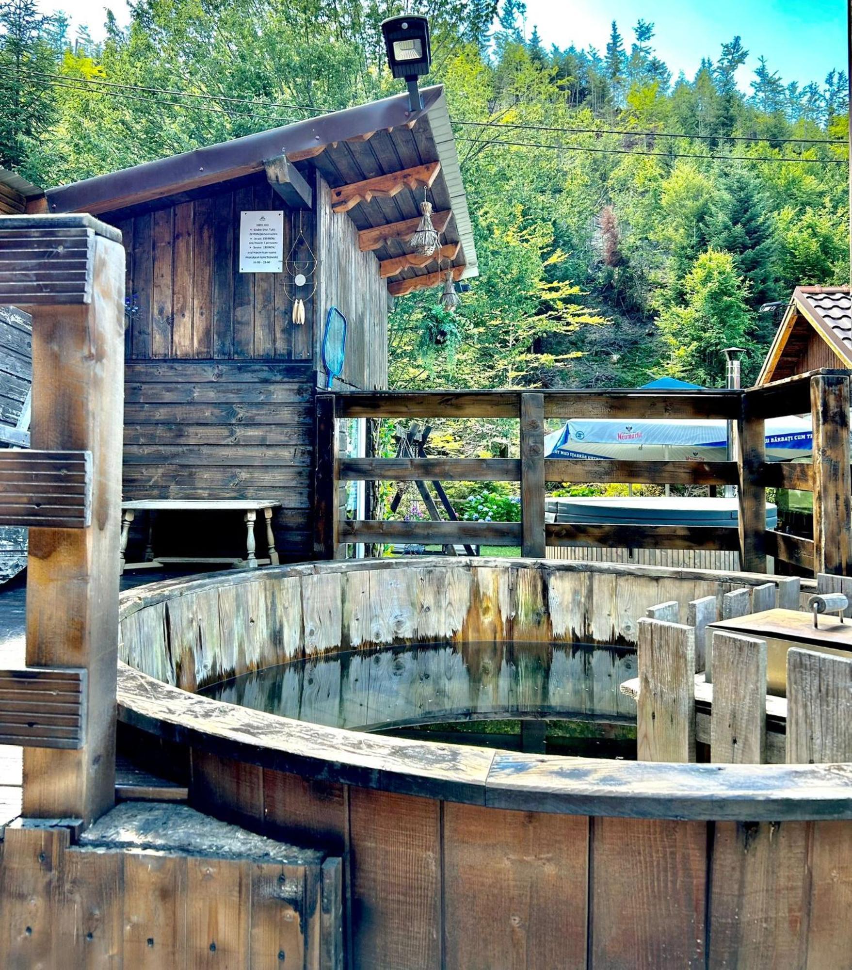 ホテル Casa Popa'S Cîrţişoara エクステリア 写真
