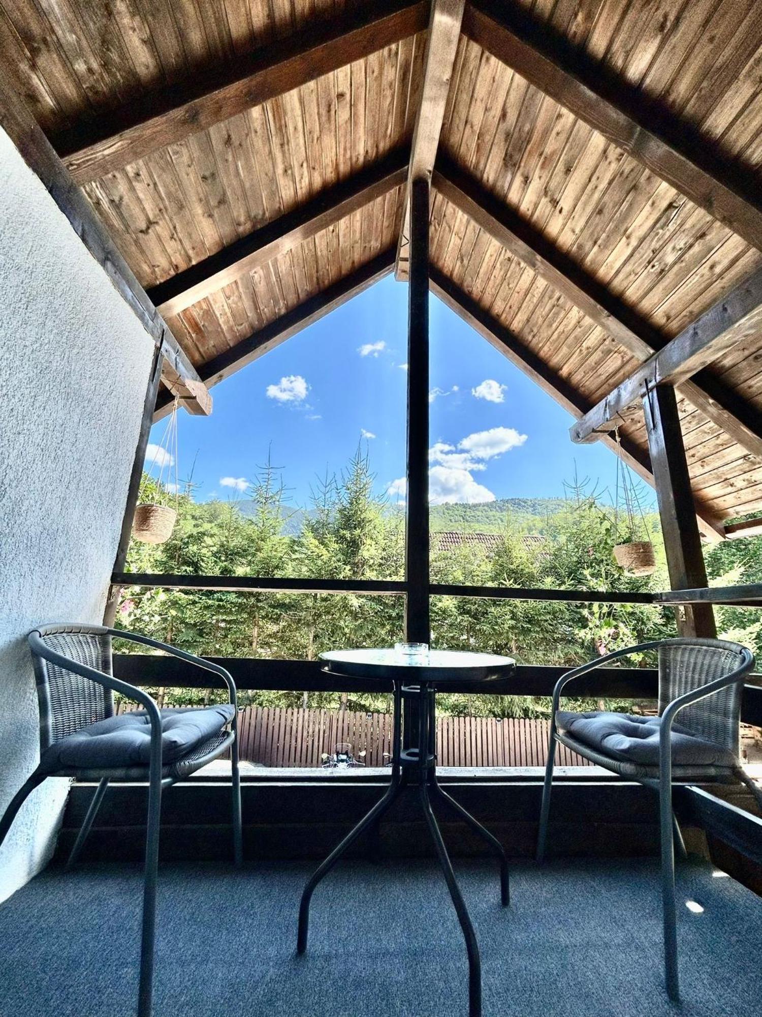 ホテル Casa Popa'S Cîrţişoara エクステリア 写真